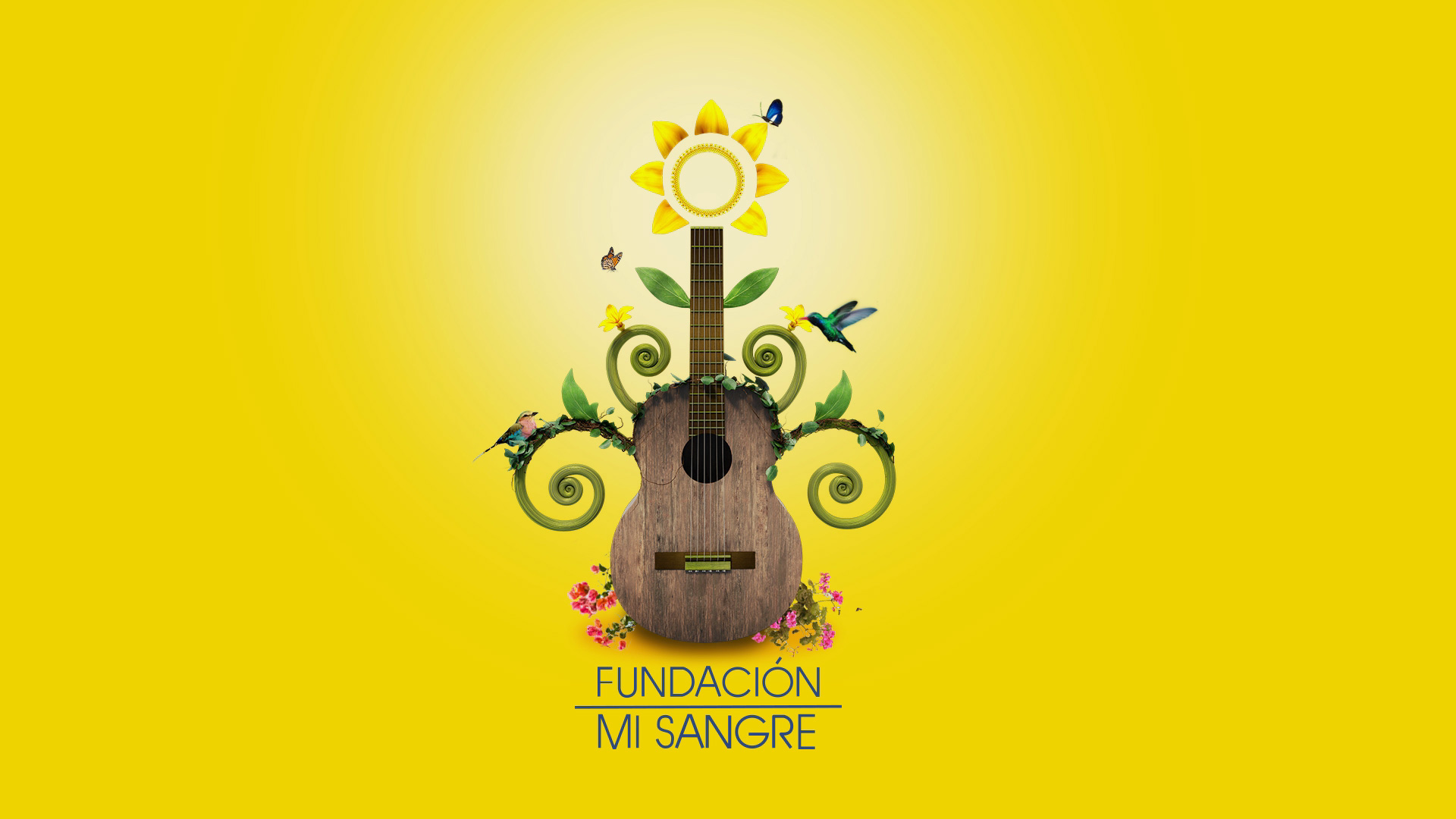 portafolio CULTURA DE PAZ | FUNDACIÓN MI SANGRE